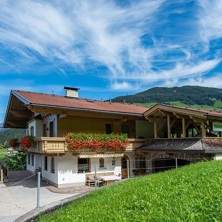 Ferienwohnung Ausblick Zillertal Hainzenberg Ngoại thất bức ảnh